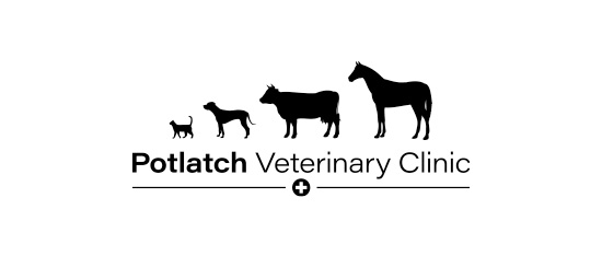 Potlatch Veterinary Clinic